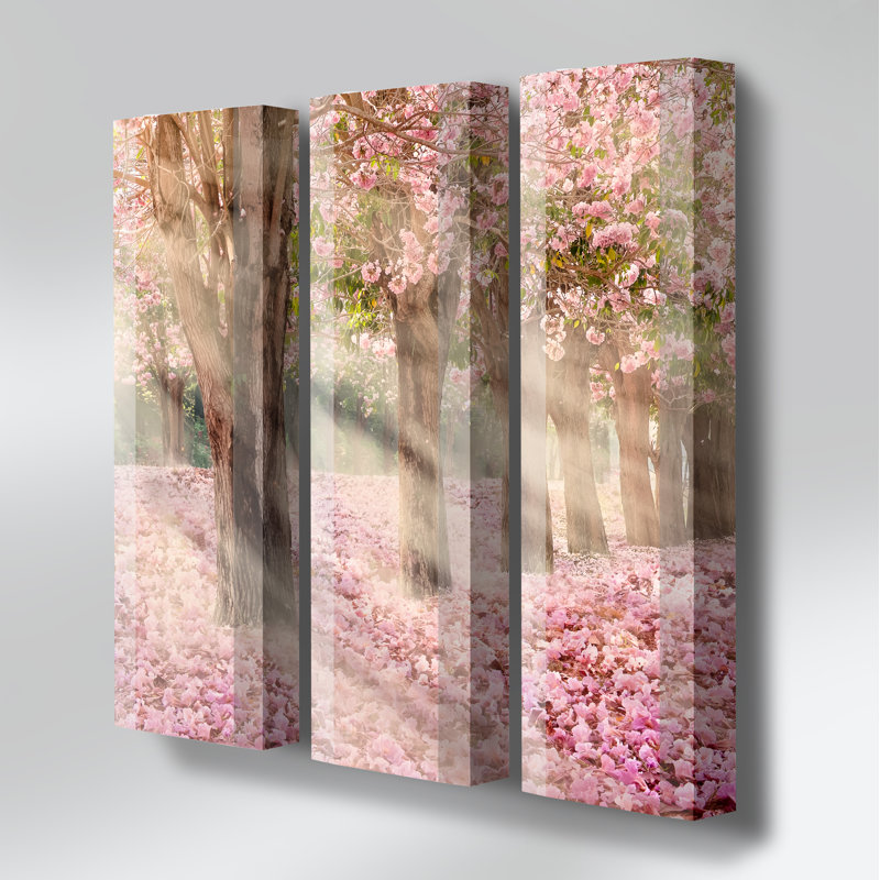 Ebern Designs Schuhschrank Allee für 24 Paar Schuhe | Wayfair.de